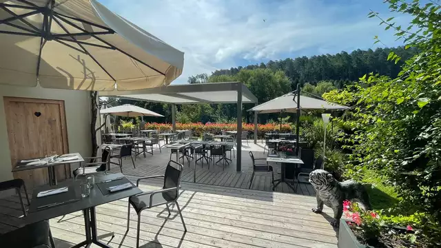 Evasion gastronomique et detente en Alsace