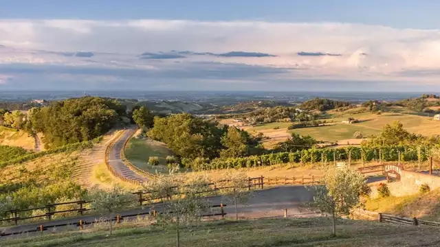 Vacaciones en Emilia Romagna con degustación de vinos en la bodega local