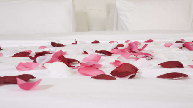 Romantische sfeer voor 2 volwassenen