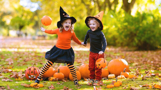 Animación para toda la familia