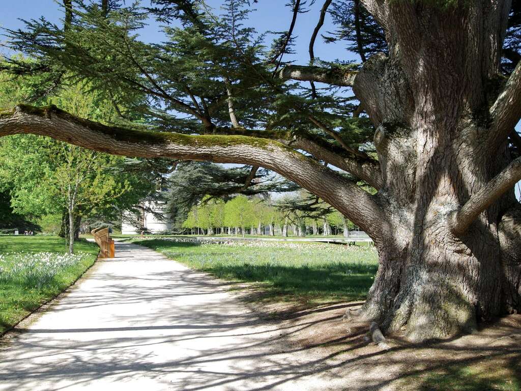 Escapade culinaire et reposante à Chaumont-sur-Loire - 3* - 8