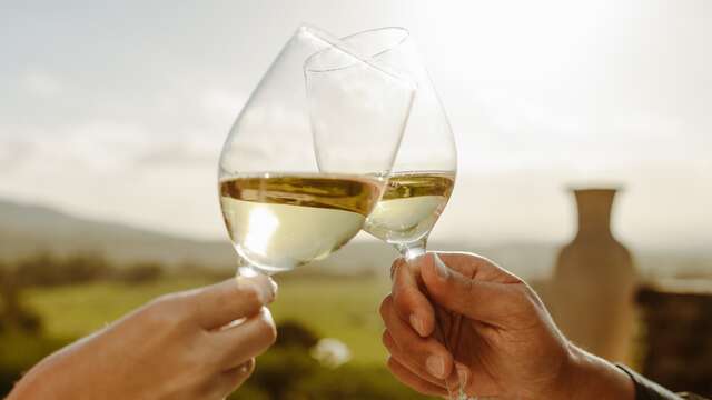 Copa de vino para 2 adultos