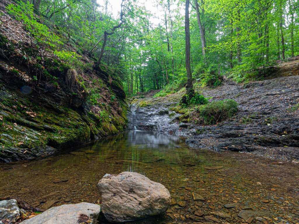 Parenthèse Nature dans les Ardennes - 3* - image 6
