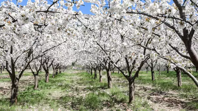 Séjour romantique à Cáceres
