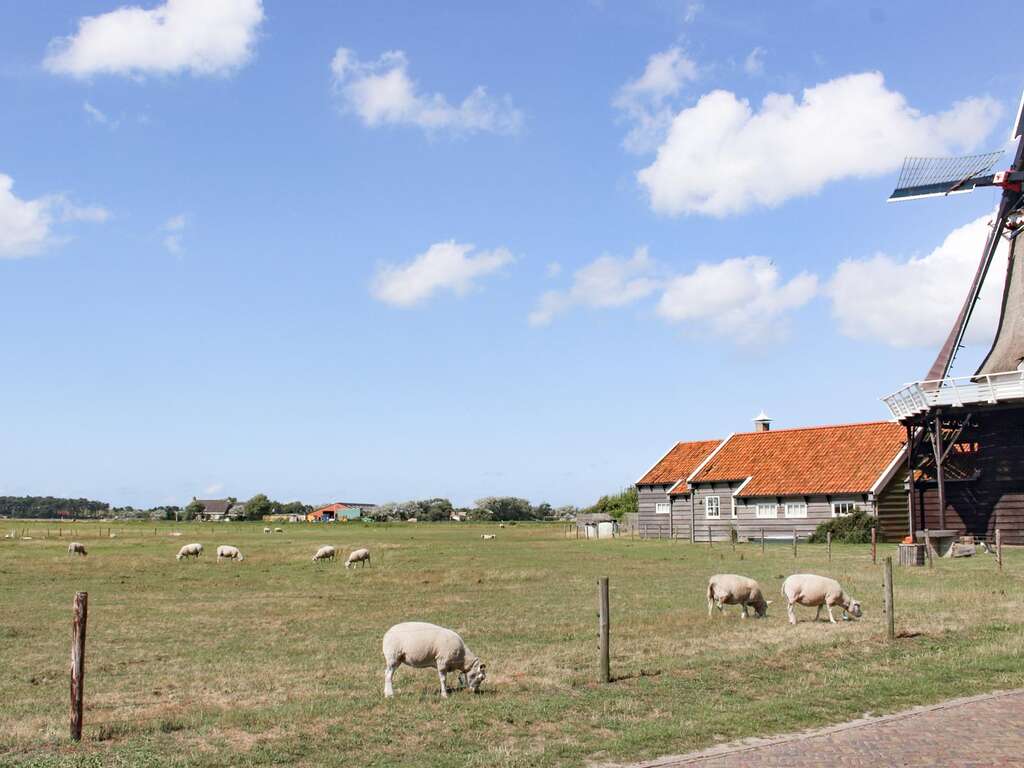 Détendez-vous sur la belle Ameland - 4* - 7