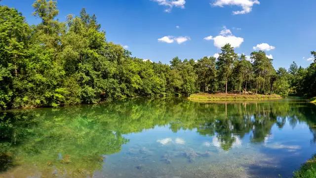 Paseo por el bosque y relajación en medio del bosque