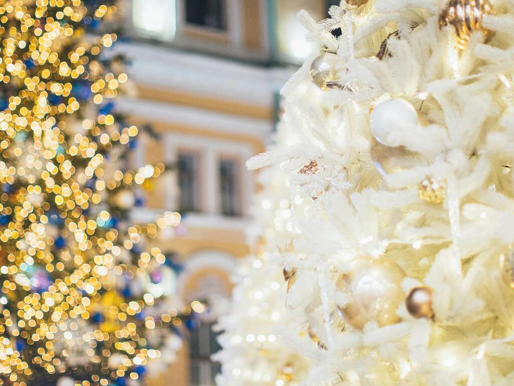 Douce Nuit de Noël : Confort, petit-Déjeuner et Bulles Festives - 4* - 1