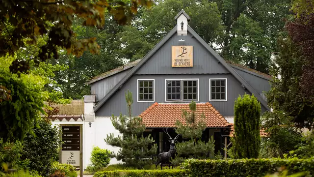 Une nuit merveilleuse dans la Veluwe