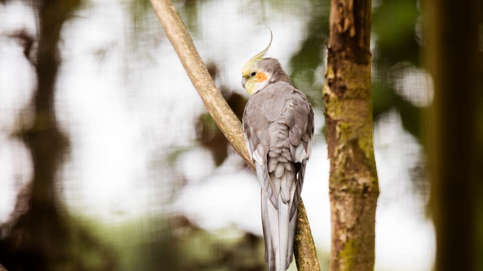 Veluwe Hotel De Beyaerd