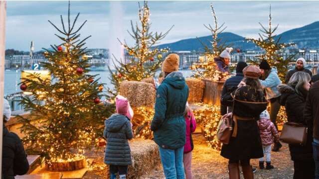 Información sobre el mercado de Navidad