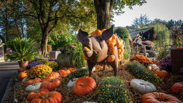 1 Entrée au Parc d'attractions Europa Park pour 2 adultes