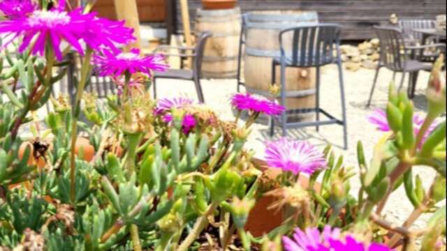 VioVillas Agriturismo Glamping Arezzo