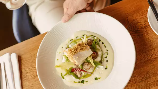 Vivez un moment culinaire inoubliable en Frise