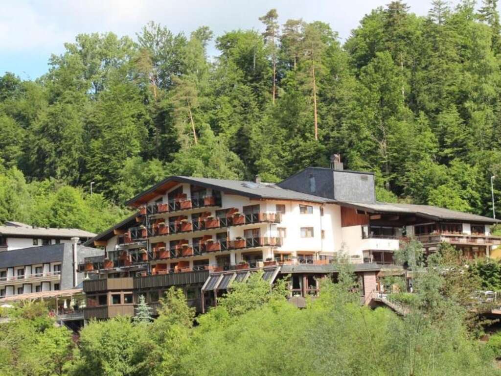 Évasion Élégante Wellness Dans La Forêt-noire - 4* (ref 52789)