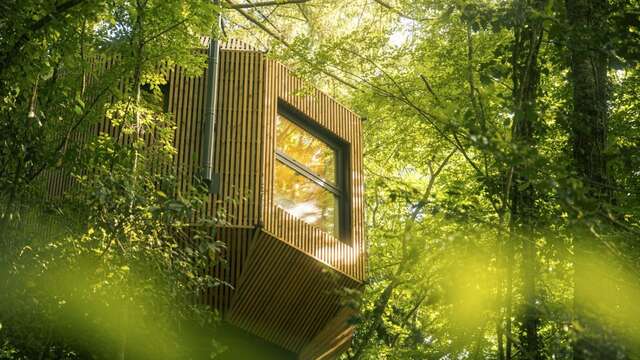 privileged Hut met boszicht