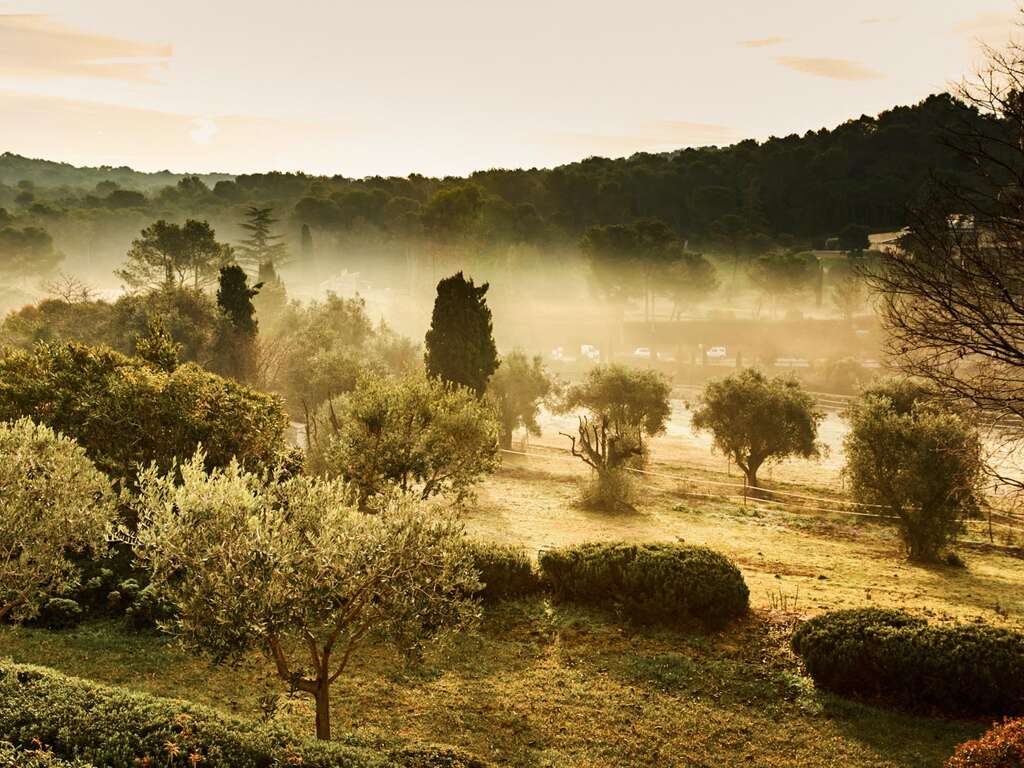 Weekend à proximité de Cannes avec une planche Salée - 3* - 5