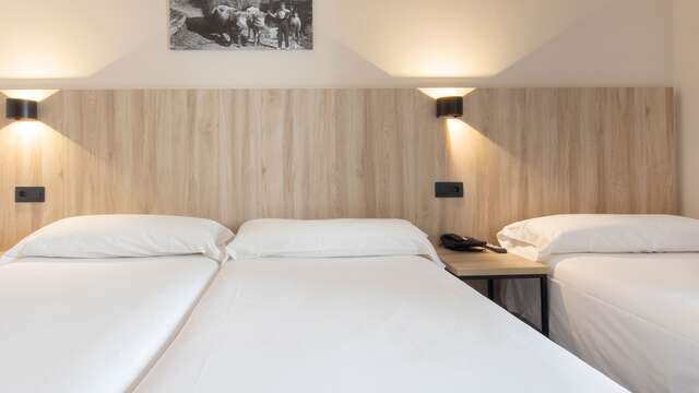 chambre triple standard 