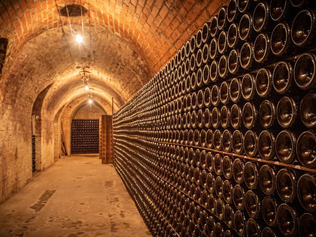 Escapade au coeur du vignoble champenois - 23