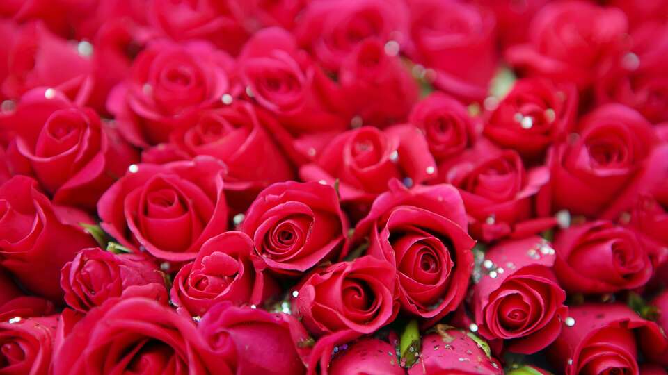 Hôtel & Restaurant Aux Tanneries de Wiltz