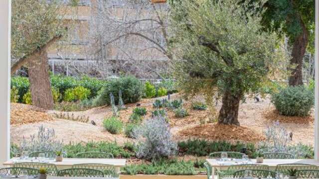 MarSenses Rosa del Mar Hotel Spa