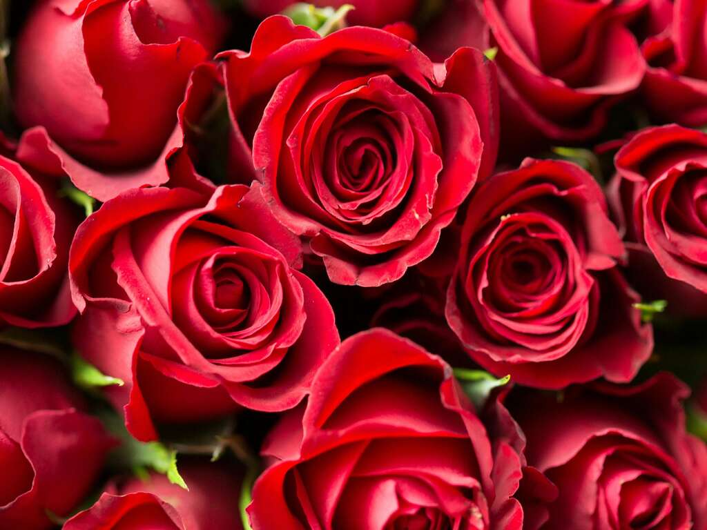 Une St-valentin 2026 aux saveurs de Bourgogne - 3* - 1