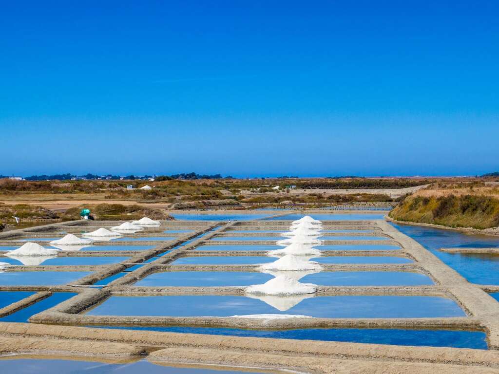 Séjour gourmand avec dîner à Saint-Lyphard - 3* - 1