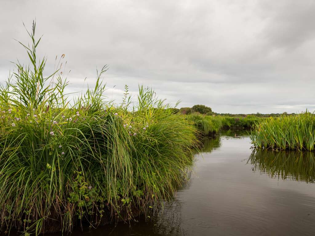 Découvrez le Parc Naturel Régional de la Brière - 3* - 6