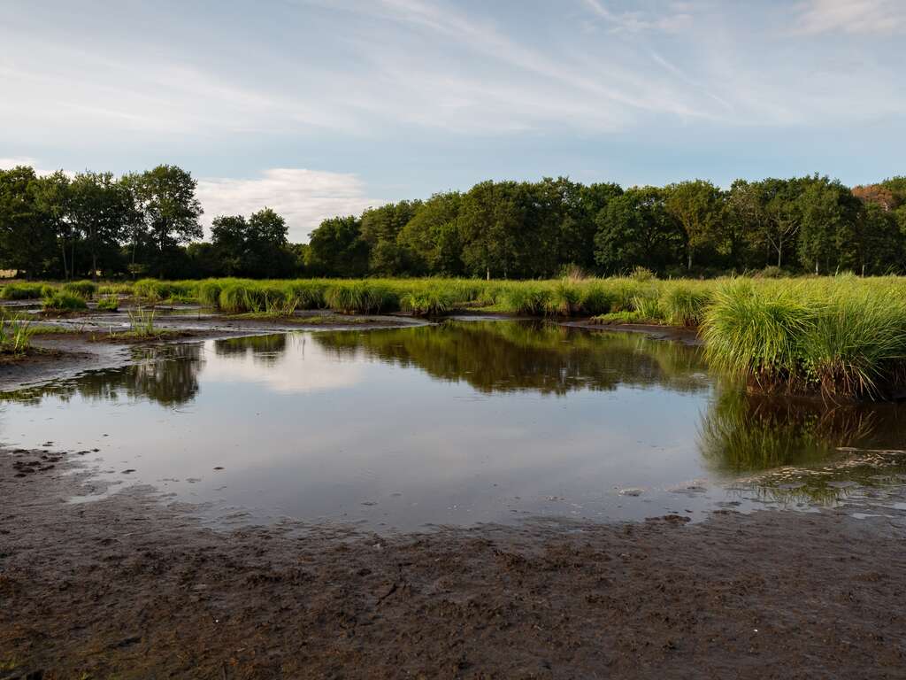 Découvrez le Parc Naturel Régional de la Brière - 3* - 1