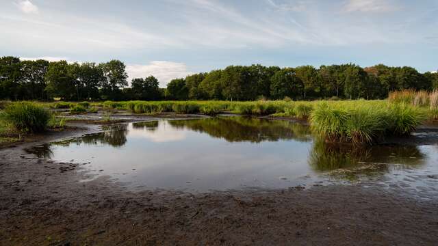 Ontdek het Regionaal Natuurpark van Brière