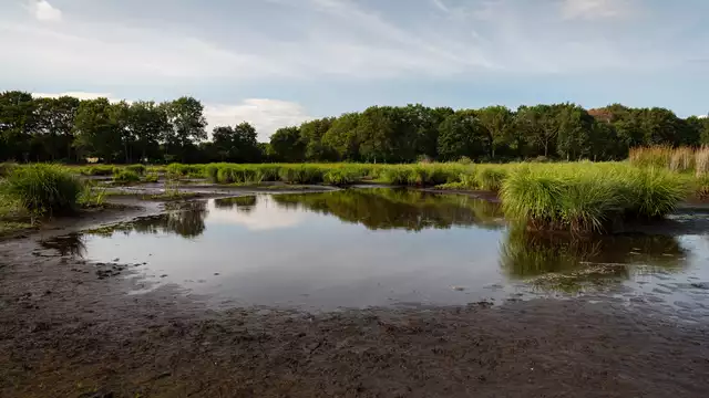 Découvrez le Parc Naturel Régional de la Brière