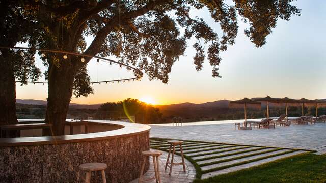 Habitat Ciguena Negra