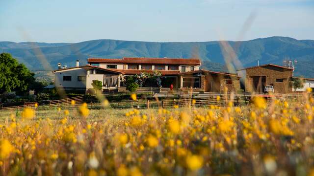 Habitat Ciguena Negra