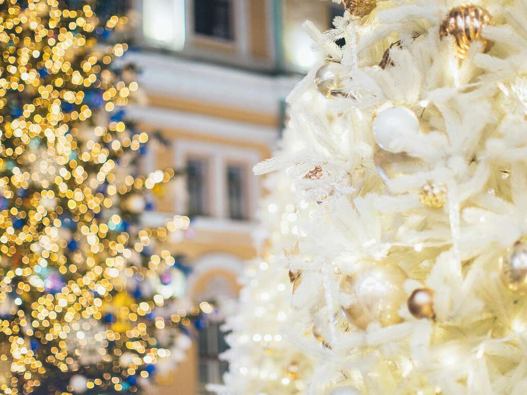 Les joies de l'hiver à Bruxelles pendant le marché de Noël - 4* - 1