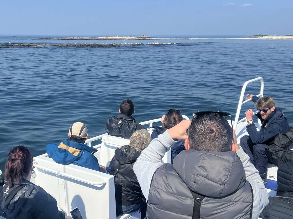 Escapade à Quimper avec croisière et visite de l'Archipel des Glénan - 3* - 23