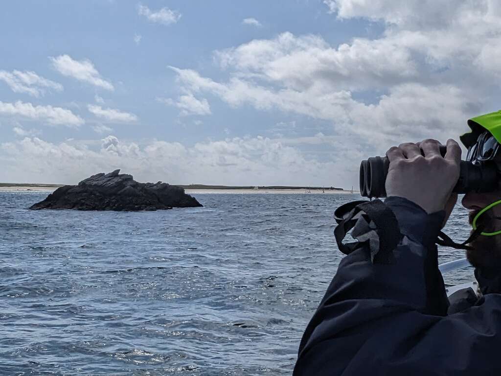 Escapade à Quimper avec croisière et visite de l'Archipel des Glénan - 3* - 18