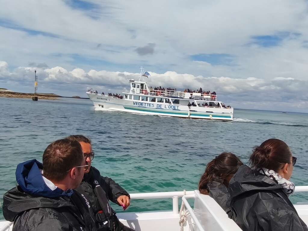 Escapade à Quimper avec croisière et visite de l'Archipel des Glénan - 3* - 24