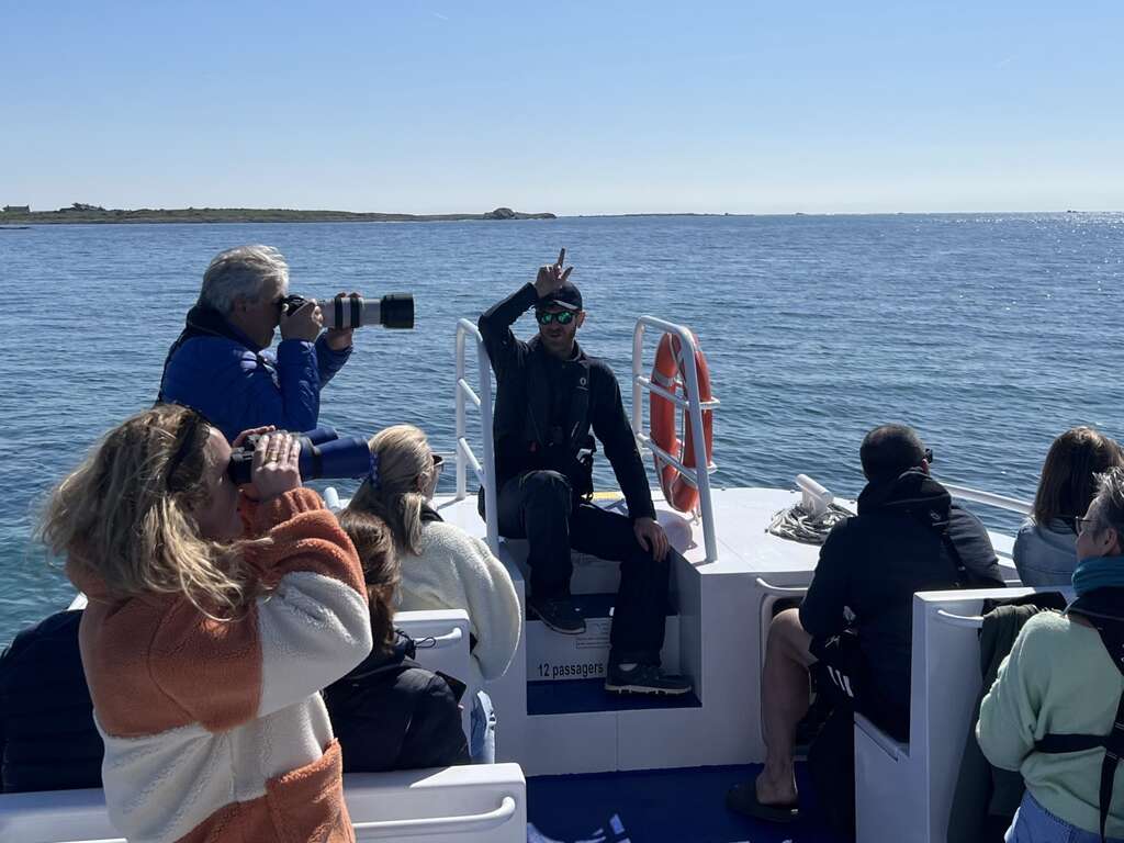 Escapade à Quimper avec croisière et visite de l'Archipel des Glénan - 3* - 17