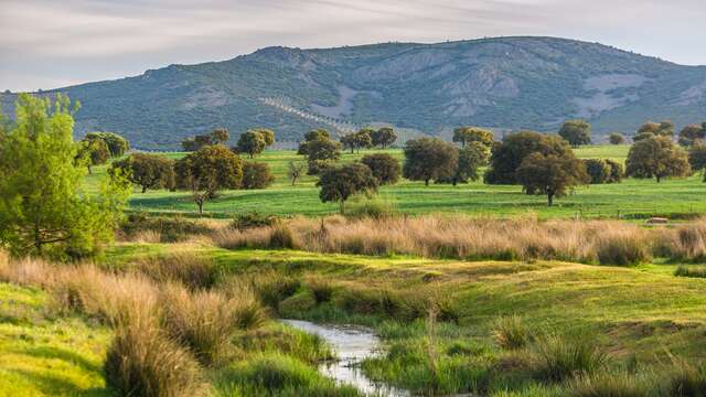 Hotel Parque Cabaneros