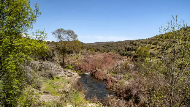 Séjour au cœur du parc national de Cabañeros