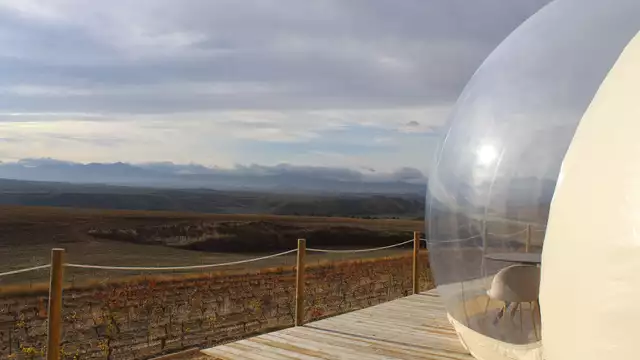 La Rioja al completo: visita a cantina, degustazione, cena e bottiglia di vino