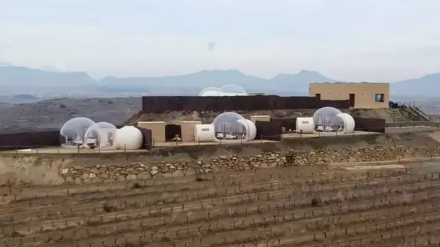 La Rioja al completo: visita a cantina, degustazione, cena e bottiglia di vino
