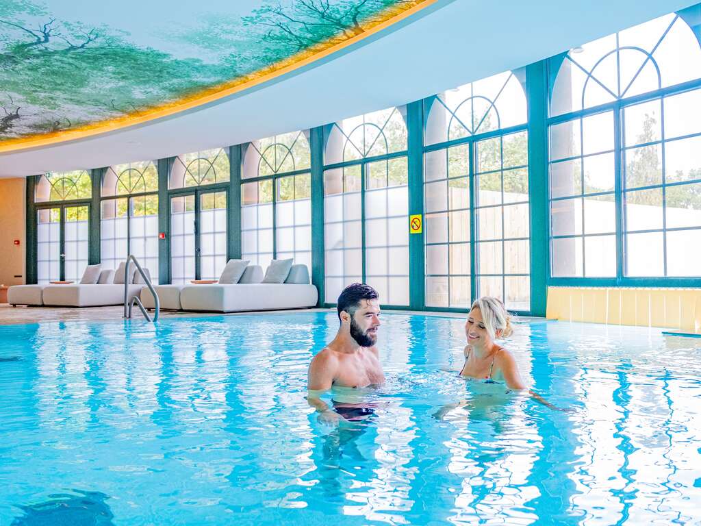 Escapade détente dans un 4* proche de Mulhouse avec entrée pour Europa-Park (à 1h10 du parc) - 4* - 18