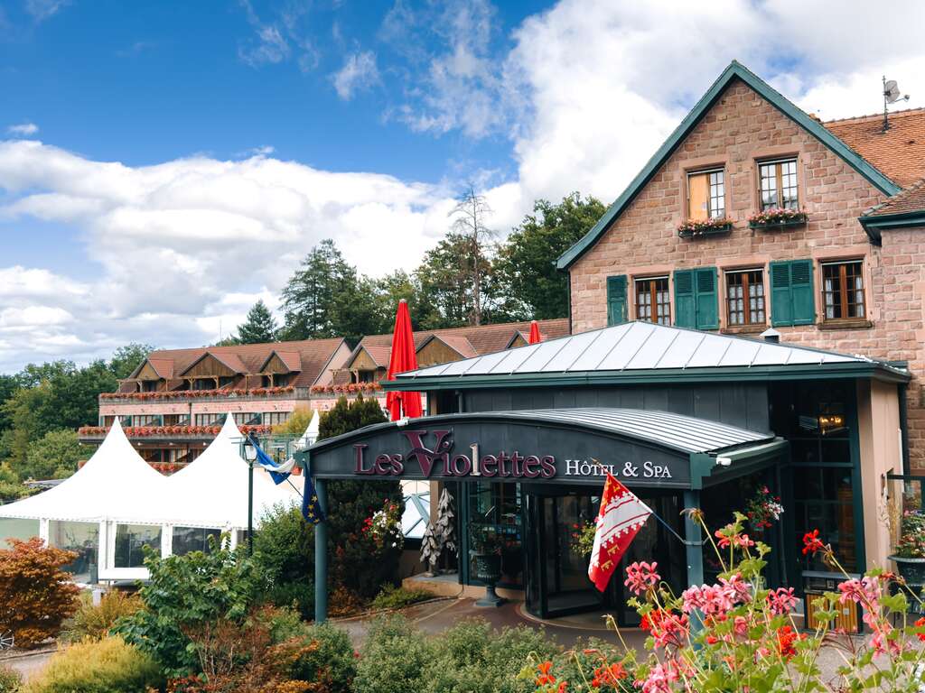 Escapade détente dans un 4* proche de Mulhouse avec entrée pour Europa-Park (à 1h10 du parc) - 4* - 17