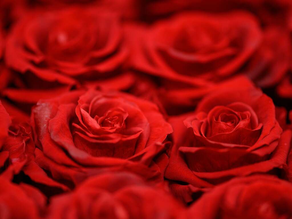 Escapade Saint Valentin à Belfort : Modelage en Duo, bulles et Romance ! - 4* - 1