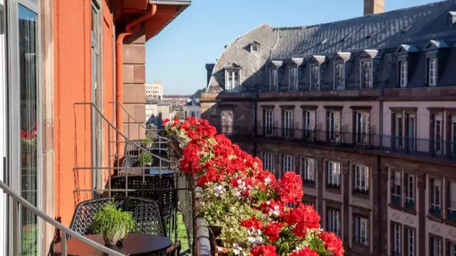Escapade romantique en chambre privilège dans un 5* au coeur de Strasbourg