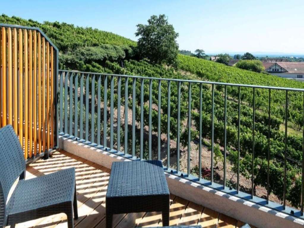 Escapade détente au coeur du vignoble Alsacien proche de Colmar - 4* - 18