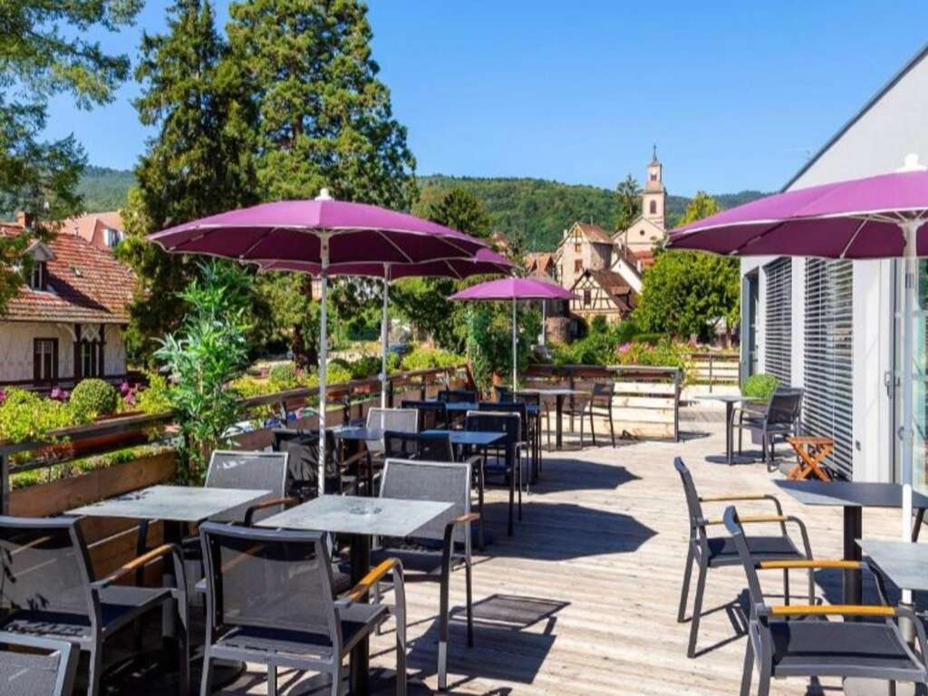 Escapade détente au coeur du vignoble Alsacien proche de Colmar - 4* - 12