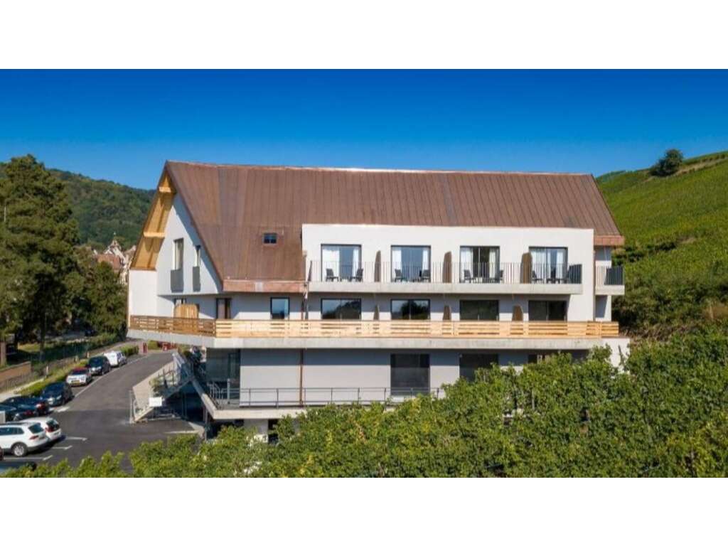 Escapade détente au coeur du vignoble Alsacien proche de Colmar - 4* - 8