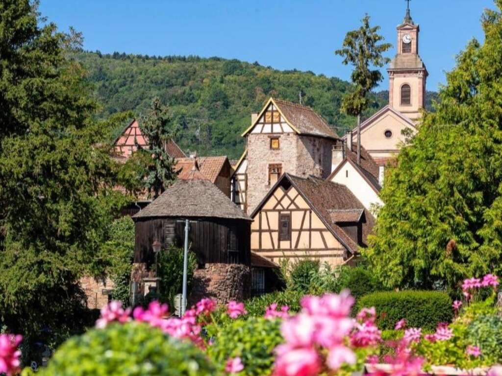 Escapade détente au coeur du vignoble Alsacien proche de Colmar - 4* - 13