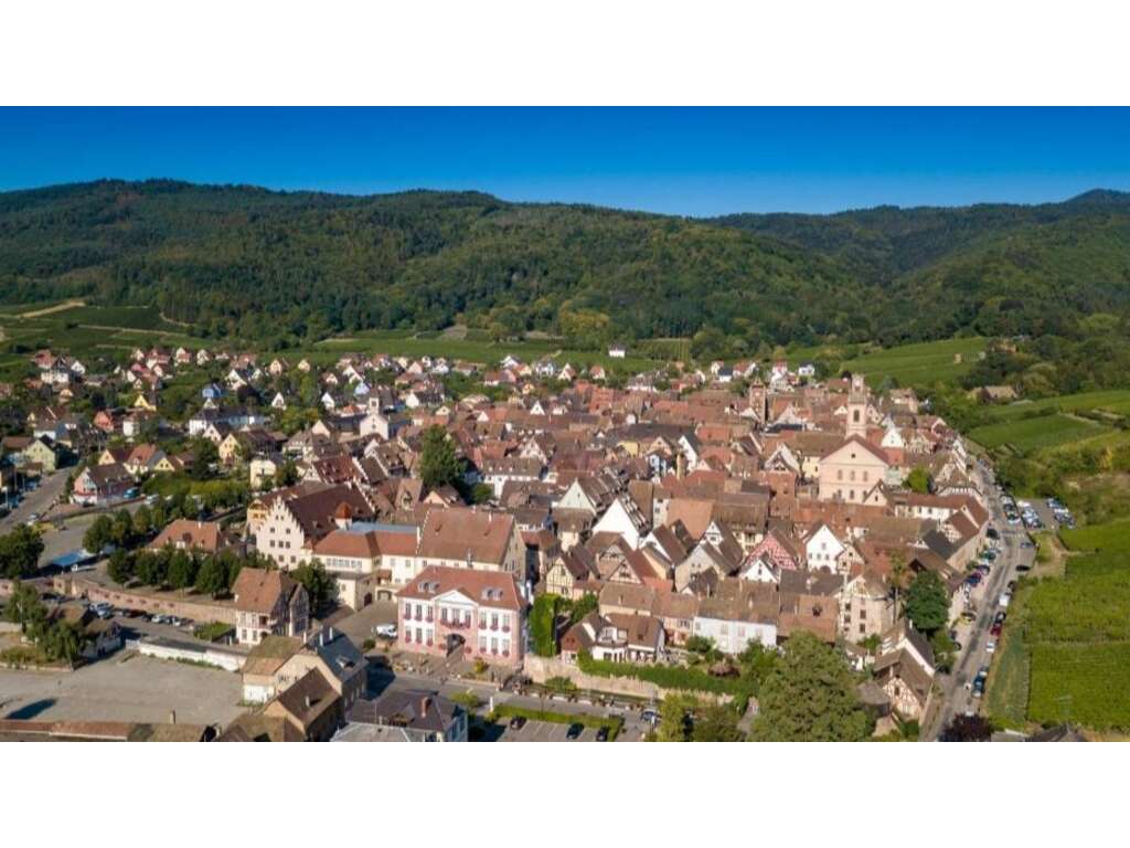 Escapade détente au coeur du vignoble Alsacien proche de Colmar - 4* - 26